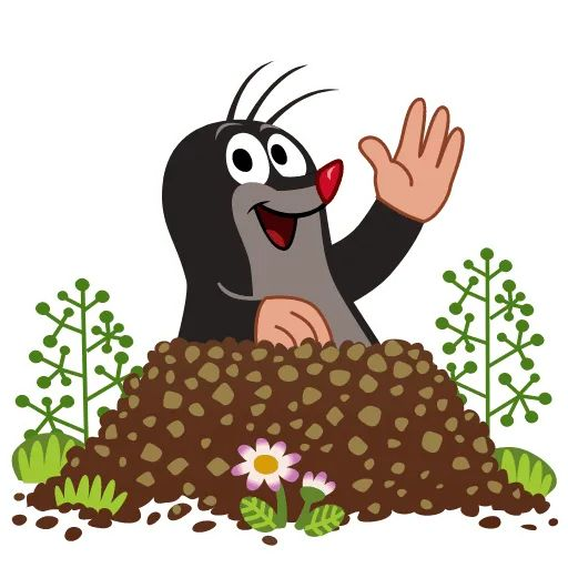 Silly Maulwurf Error